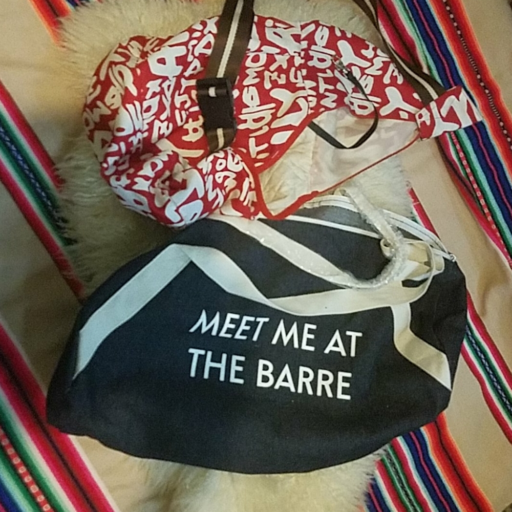 Small dog carrying purse and cute duffle bag